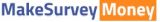 Make Survey Money